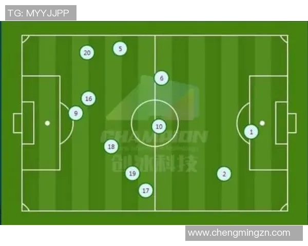 上海排球队与北京排球队赛后复盘分析团队配合与战术执行的关键因素
