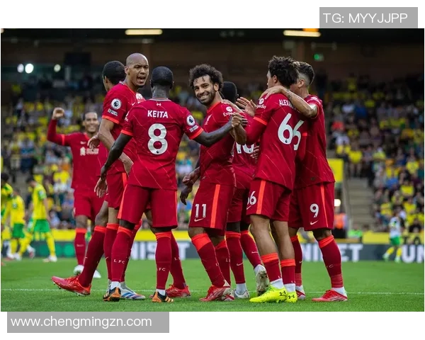 足球明星的多样化类型解析及其在球场上的独特魅力