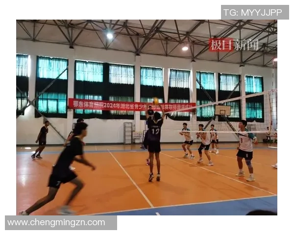 武汉排球队的独特节奏与战术解析深度探讨排球魅力与团队协作